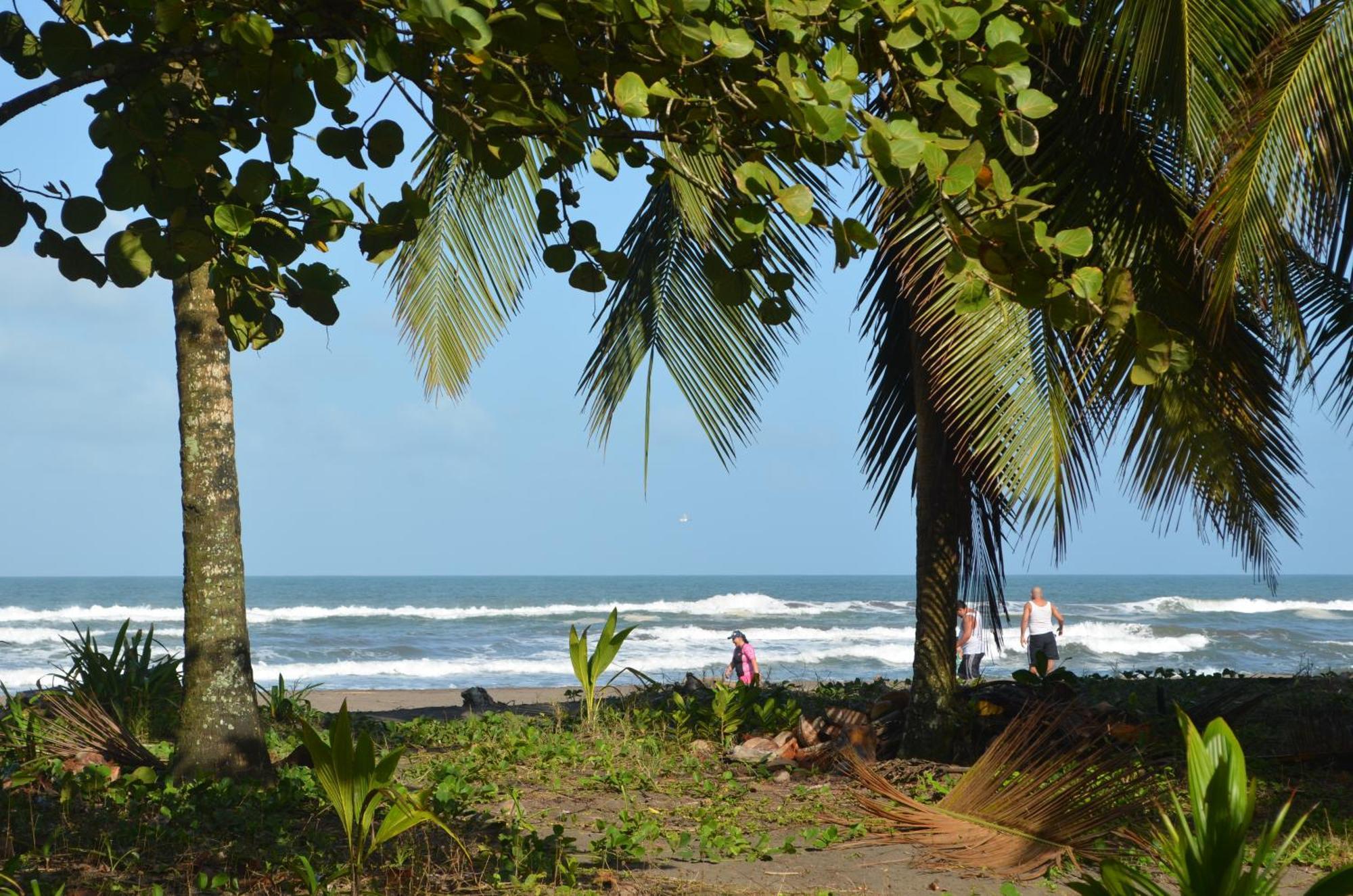 Hotel Pura Natura Beachfront ตอร์ตูเกโร ภายนอก รูปภาพ